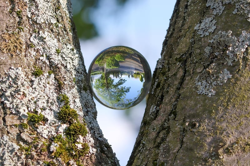 Profitability Insights